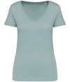 NS334 Native Spirit Ladies V Neck T-Shirt jade green colour image
